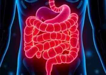 Gut Microbiota Metabolites Show Promise Against Disc Degeneration