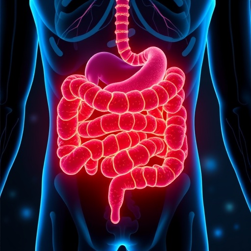 Gut Microbiota Metabolites Show Promise Against Disc Degeneration