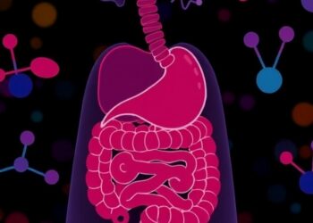 Gut metabolite changes mark allergy risk in infants’ first year
