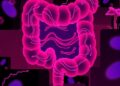 Gut microbial metabolites shape Fusobacterium growth and colorectal cancer behavior
