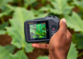 Handheld NDVI Sensor Accelerates Cassava Breeding in Nigeria
