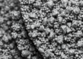 Heat Treatment Steers Titanium Dioxide Nanoparticles from Anatase to Rutile