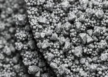 Heat Treatment Steers Titanium Dioxide Nanoparticles from Anatase to Rutile