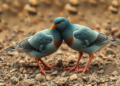 Hidden Clay Minerals Steal Magnesium Yield Before the Pidgeon Process Even Starts