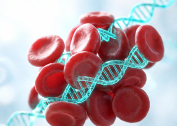 Hidden RNA Regulators Uncovered in Antiphospholipid Syndrome Blood Cells