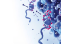 Hidden RNA Switch Helps Esophageal Cancer Evade Ferroptotic Cell Death