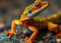 Hidden colour diversity revealed in a polymorphic lizard species