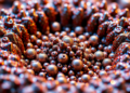High Entropy Alloys Emerge as Powerful New Materials for Absorbing Electromagnetic Radiation