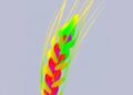 High-resolution 3D scanning quantifies wheat spike morphology