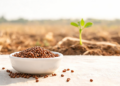 Horse Gram, the Neglected Legume That Could Help Feed a Warming World