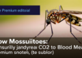 How Mosquitoes Really Find Us: A Sensory Journey From CO2 to Blood Meal