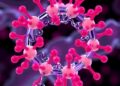 How peroxiredoxins double as hydrogen peroxide scavengers and redox transducers
