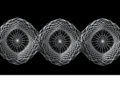 Hyperbolic Geometry Breaks the Euclidean Barrier in Biological Sequence Analysis