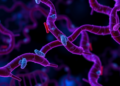Hypoxia Rewires RNA Methylation to Drive Pancreatic Neuroendocrine Tumor Growth