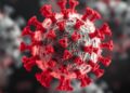 Immunological evaluation of SARS-CoV-2 membrane protein virus-like particles