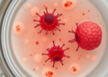 In a Dish, Male and Female Macrophages Wage Inflammation Differently