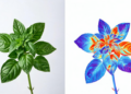 Infrared Thermometry Reveals Water Stress in Medicinal Plants Before the Eye Can See