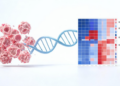Integrated bioinformatics profiling of the lysine demethylase gene family in breast cancer