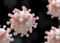 Ionic Clusters Take Center Stage as Building Blocks for Porous Organic Salts