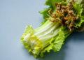 Lipid Fingerprinting Reveals the Hidden Chemistry That Separates Organic Lettuce from Conventional