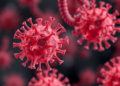 Lung Bacteria Found to Worsen Influenza Through a Metabolic Trap in Immune Cells