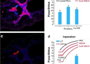 MCM10 drives colorectal cancer progression via m6A-regulated M2 macrophage polarization