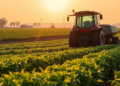 Machine Vision Is Quietly Rewriting the Rules of Modern Farming