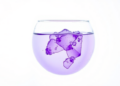 Magnesium Oxide-Infused Chitosan Hydrogel Pulls Toxic Crystal Violet Dye from Water