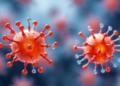 Magnetic Nanoparticles Carry Ampicillin Straight to Resistant Bacteria While Sparing Healthy Cells