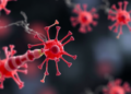 Malaria Parasite Membrane Enzymes Emerge as Promising New Drug Targets