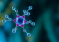 Marine Compounds Offer New hope for Alzheimer’s Drug Design, Study Suggests