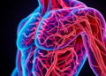 Massive Protein Interaction Map Reveals How Muscles Fall Silent to Insulin