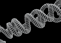 MemBrain v2 Brings End-to-End Membrane Analysis to Cryo-Electron Tomography