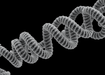 MemBrain v2 Brings End-to-End Membrane Analysis to Cryo-Electron Tomography