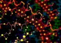Metabolomic analysis reveals biological pathways altered by clinical intervention