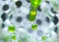 Metal-Free Catalyst Traps Green Solvent Inside Porous Polymer for Cleaner Drug-Like Molecules