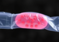 Metal-Organic Framework Nanoparticles Turn Biopolymer Hydrogel into Antibacterial Wound Dressing