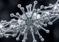 Metal nanoparticles show promise against drug-resistant superbugs