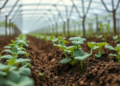 Microbes May Hold the Key to Farming That Survives Climate Change