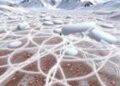Microbial niches drive species turnover on Tibetan Plateau glacier surfaces