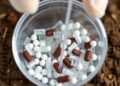 Microplastic extraction methods alter biodegradable polymer detection in soils