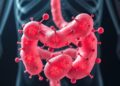 Micro–nanofibre framework traps and clears gastrointestinal microplastics