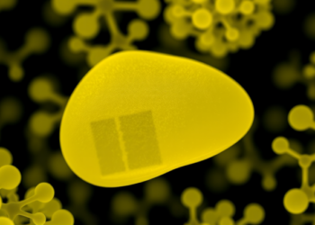 Milk Fat Membrane Lipids Show Promise Against Fatty Liver Disease in Mouse Study