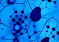 Molecular Diagnosis of Dermatomycosis Caused by Non-Dermatophyte Fungi