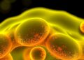 Molybdenum disulfide thermosensitive hydrogel disrupts biofilms to heal diabetic wounds