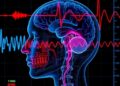 Multimodal biosignals power deep learning stress detection