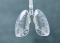 Mussel-Inspired Coating Keeps Tiny Artificial Lungs Clot-Free