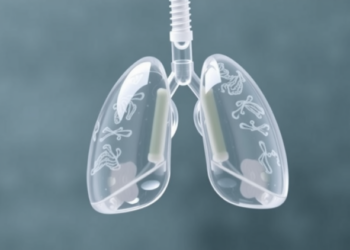 Mussel-Inspired Coating Keeps Tiny Artificial Lungs Clot-Free