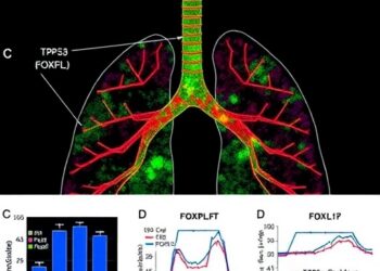 Mutant TP53 traps FOXP3, disrupting PD-L1 control and fueling immune evasion in lung cancer