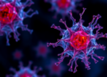 NAD+ Collapse Drives Senescent CD8+ T Cells That Worsen Ulcerative Colitis